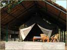 tent-view_jungle-camp-doddamakali