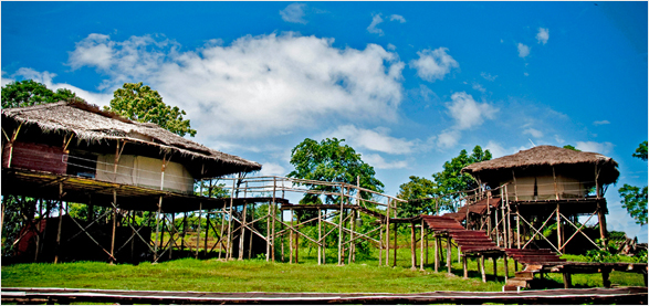 Bison Kabini Resort