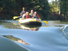 white-water-rafting_dandeli-resorts_bison-river-resorts