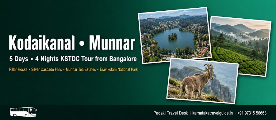 Kodaikanal Munnar tour — Pillar Rocks, Eravikulam NP, tea gardens, Madupatty Dam