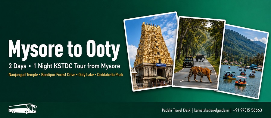 Mysore Ooty tour — Nanjangud temple, Ooty Botanical Garden, Doddabetta Peak, tea estates