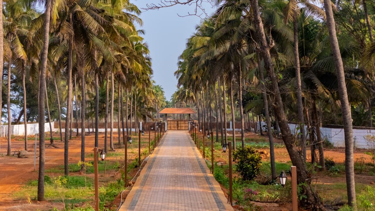 Palm-lined pathway leading to the entrance gate at Miraya by the Beach